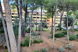 Baugrundstück für Ihre Traumimmobilie auf Mallorca, Santa Ponsa